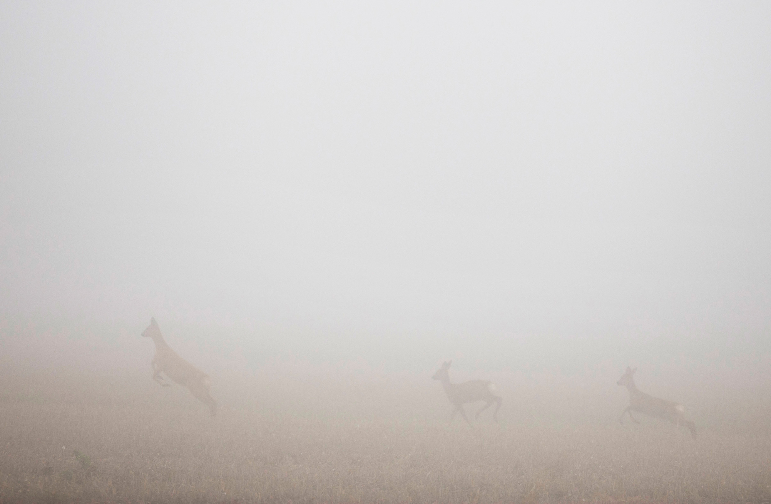 Foto: Melker Dahlstrand/imagebank.sweden.se